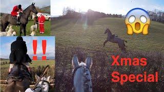 Christmas Special - Irish Draught Jumps Big Hedges out Trail Hunting | Equestrian