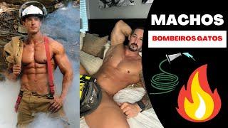 BOMBEIROS GATOS DE SUNGA  - HOMENS MACHOS