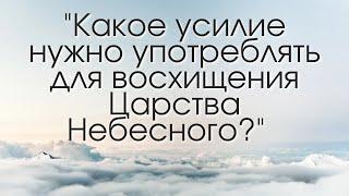 Александр Царев - "Какое усилие нужно употреблять для восхищения Царства Небесного?"(03.01.21)