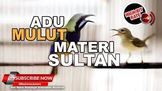 #1  Masteran Juwara Materi Sultan Bruney Cucak Cungkok VS Kolibri Kelapa️Masteran Ampuh️