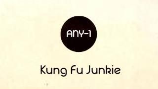 Kung Fu Junkie - ANY-1