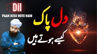 Dil Paak Kese Hote Hain || Muhammad Raza Saqib Mustafai