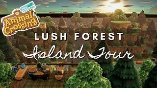 LUSH FORESTCORE ISLAND TOUR | Animal Crossing New Horizons