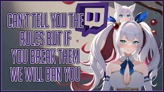 Vtuber Shows The Absolute State of Twitch TOS and Guidelines