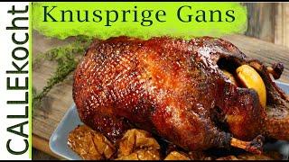 Knusprige Gans  zubereiten. Rezept für besten Gänsebraten