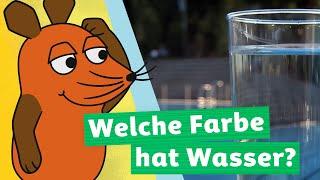 Warum ist Wasser in einem Glas durchsichtig, aber im Meer blau? | Die Maus | WDR