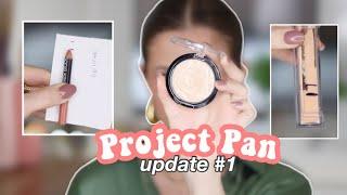 PROJECT PAN UPDATE// Using up 22 items in 2022!