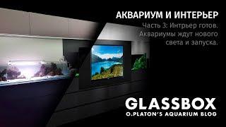 Аквариум и интерьер: 3 - Интерьер готов. Аквариумы ждут нового света и запуска.