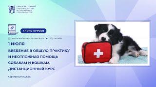 «Введение в общую практику и неотложная помощь собакам и кошкам», Ксения Трефилова