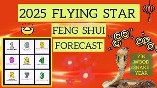 2025 FLYING STAR FENG SHUI FORECAST ⭐️