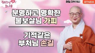 분명하고 명확한 불보살님 가피ㅣ기적같은 부처님 손길 ㅣ광우스님의 소나무 2편 모아보기