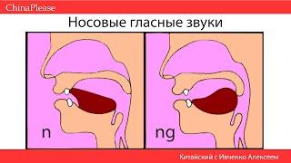 Китайский язык с нуля. Урок 4 - Учим звуки! an-en-in-un-ün / ang-eng-ing-ong