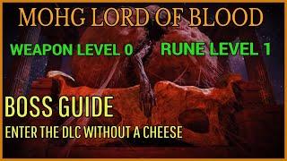 My Level 1 is ready for the Elden Ring DLC - Mohg Boss Strategy