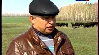Башкирский фермер