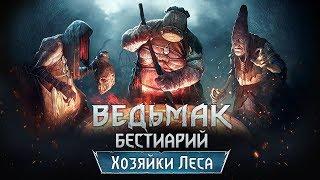 The Witchеr 3. Бестиарий: Ведьмы Кривоуховых топей