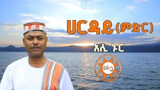 Ethiopia: ሀርዳይ (ምድር) አሊ ኑር - በግጥም| Ali Nur - Harday (Lyrics)Ethiopian Siltie