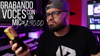 Grabando Voces con un micrófono de $30.00- Neewer NW-800 Review