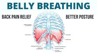 Diaphragmatic Breathing | Deep Breathing Exercise for Back Pain Relief