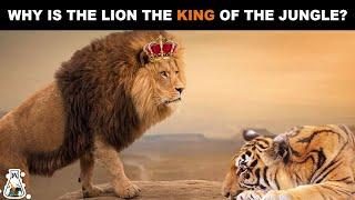 Why is The Lion Considered The King of The Jungle?