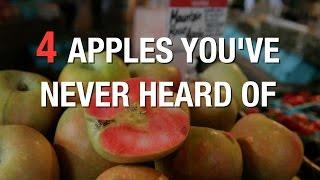 4 apples you’ve never heard of