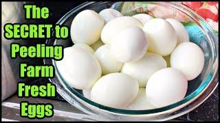 The SECRET to Peeling Farm Fresh Eggs