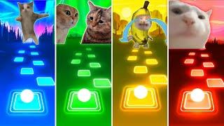 Happy Cat vs Talking Cats vs Banana Cat vs Vibing Cat - Tiles Hop EDM Rush