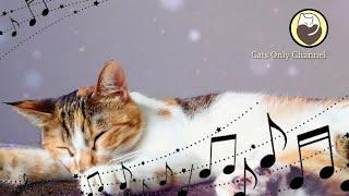 528Hz Healing Music to Calm Your Cat - Stress Relief, Relaxation