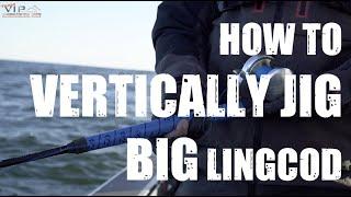 HOW TO Vertically Jig BIG Lingcod | VIP Outdoors