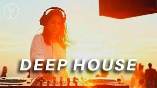 Deep House | August - 2023 Mix 14 | Lucas Lozano - Consoless and more