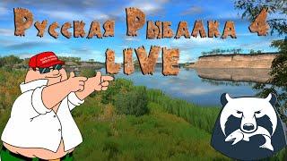 Русская Рыбалка 4 LIVE/Цветные карпы на Янтарке!!!