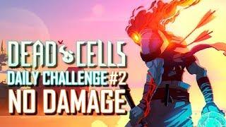 Dead Cells | Daily Challenge #2 - High Peak Castle | No Damage | PS4 Gameplay