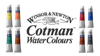 Winsor & Newton Cotman Watercolours - Love Them Or Hate Them?