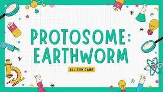 Protostome Video