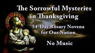 Sorrowful Mysteries in Thanksgiving No Music - 54-Day Rosary Novena for Our Nation Most Holy Rosary