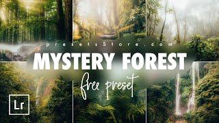 Mystery Forest — Mobile Preset Lightroom | Tutorial | Download Free | Green Preset | Nature Preset