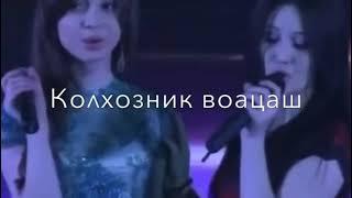 шуточная чеченская песня , сумая и настальгия 