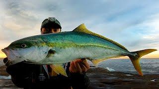 How to Catch Fish on Lures Rock Fishing