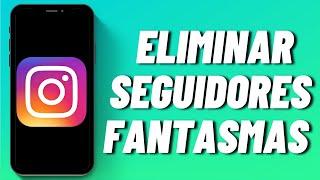 Cómo eliminar seguidores fantasmas en Instagram