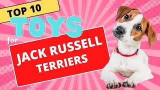 Top 10 Dog Toys for Your Jack Russell Terrier