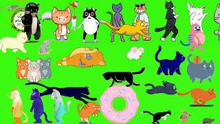 animal stampede part - 5 | cat stampede green screen | cat version | kitty | pussycat | tom | feline