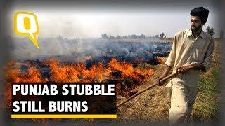 Farmers Continue To Burn Paddy Stubble: ‘We Know It Pollutes’ | The Quint