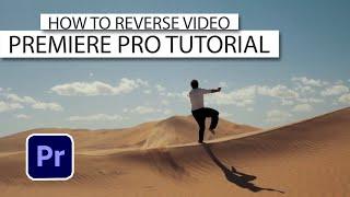 How To Reverse video In Premiere Pro 2023 - Tutorial