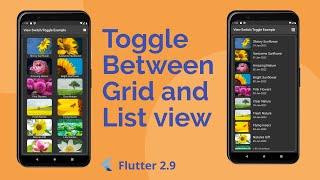 Flutter - Toggling Between Gridview and Listview | Switching between Gridview and Listview