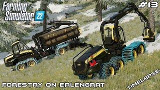 Buying first WOOD HARVESTER - PONSSE | Forestry on ERLENGRAT | Farming Simulator 22 | Episode 13