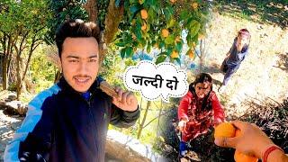 छोटे बच्चों की जिद,नारंगी चाहिए || Namaste Pahad || Ashutosh Negi || Pahadi Lifestyle Vlog